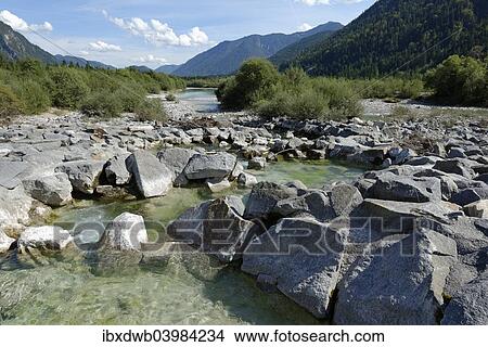 "Upper Isar River, at the sediment barrier, nature reserve, Isar valley, Tolzer Land, Upper Bavaria, Bavaria, Germany, Europe" View Large Photo Image Picture - "Upper Isar River, at the sediment barrier, nature reserve, Isar valley, Tolzer Land, Upper Bavaria, Bavaria, Germany, Europe". Fotosearch