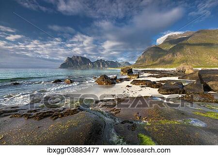"Utakleiv beach, Haukland, Vestvagoya, Lofoten, Nordland, Norway, Europe" View Large Photo Image Stock Photo - "Utakleiv beach, Haukland, Vestvagoya, Lofoten, Nordland, Norway, Europe". Fotosearch