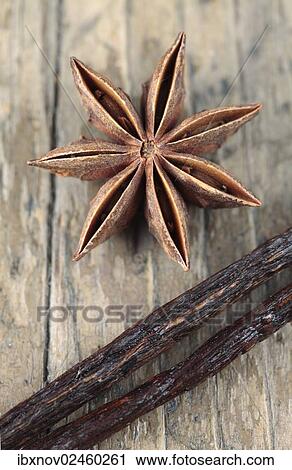 Vanilla pods and star anise View Large Photo Image Stock Image - Vanilla pods and star anise. Fotosearch