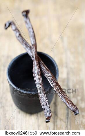 Vanilla pods on small pot View Large Photo Image Stock Photo - Vanilla pods on small pot. Fotosearch