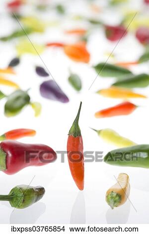 Picture - Various chili peppers. Fotosearch