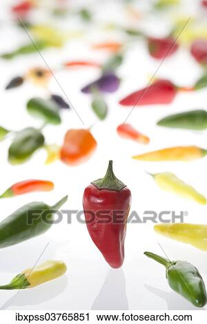 Various chili peppers View Large Photo Image Stock Image - Various chili peppers. Fotosearch