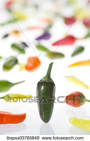 Stock Photo - Various chili peppers. Fotosearch