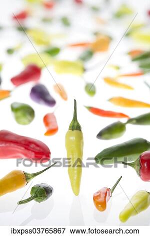 Various chili peppers View Large Photo Image Stock Photo - Various chili peppers. Fotosearch