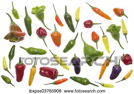 Various peppers and chilli peppers View Large Photo Image Stock Photo - Various peppers and chilli peppers. Fotosearch