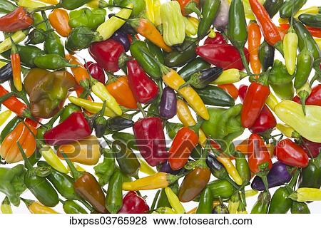 Stock Photo - Various peppers and chilli peppers. Fotosearch