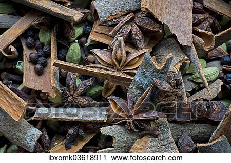 "Various spices, cloves, cinnamon, cardamom, pepper, star anise, Kerala, India, Asia" View Large Photo Image Stock Image - "Various spices, cloves, cinnamon, cardamom, pepper, star anise, Kerala, India, Asia". Fotosearch