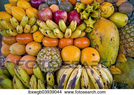 "Various tropical fruits, fruit for sale, Peru, South America" View Large Photo Image Picture - "Various tropical fruits, fruit for sale, Peru, South America". Fotosearch