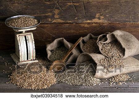 "Various types of cereals, wheat, rye, unripe spelt grain and spelt, in jute bags on rustic wood" View Large Photo Image Stock Photo - "Various types of cereals, wheat, rye, unripe spelt grain and spelt, in jute bags on rustic wood". Fotosearch
