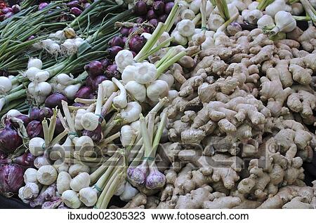 "Various types of onions and ginger, market stall" View Large Photo Image Stock Image - "Various types of onions and ginger, market stall". Fotosearch