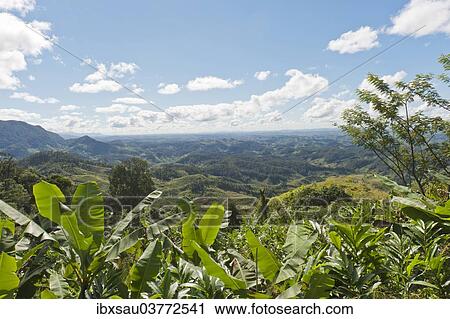 "Vast mountainous landscape with banana trees at front, near Manakara, Madagascar, Africa" View Large Photo Image Stock Image - "Vast mountainous landscape with banana trees at front, near Manakara, Madagascar, Africa". Fotosearch