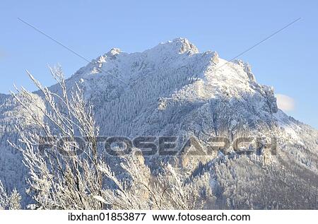 "Velky Roszutek Mountain, 1609 m, seen from Boboty Mountain, 1085 m, Stefanova, Mala Fatra National Park, Slovakia, Europe" View Large Photo Image Stock Photo - "Velky Roszutek Mountain, 1609 m, seen from Boboty Mountain, 1085 m, Stefanova, Mala Fatra National Park, Slovakia, Europe". Fotosearch