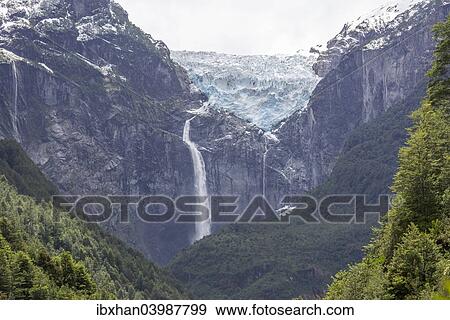 "Ventisquero Colgante, hanging glacier, Parc National Queulat, Puerto Puyuhuapi, Aysen, Chile, South America" View Large Photo Image Stock Photo - "Ventisquero Colgante, hanging glacier, Parc National Queulat, Puerto Puyuhuapi, Aysen, Chile, South America". Fotosearch