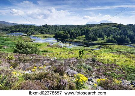 "View across the moorland at Loch Dubhaird Mor in the Northern Highlands, Sutherland, Scotland, United Kingdom, Europe" View Large Photo Image Stock Photo - "View across the moorland at Loch Dubhaird Mor in the Northern Highlands, Sutherland, Scotland, United Kingdom, Europe". Fotosearch