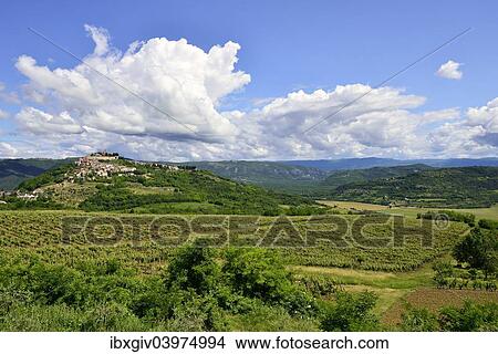 "View across vineyards to the town with atmospheric clouds, Motovun, Montona, Mirna Valley, Istria, Croatia, Europe" View Large Photo Image Picture - "View across vineyards to the town with atmospheric clouds, Motovun, Montona, Mirna Valley, Istria, Croatia, Europe". Fotosearch