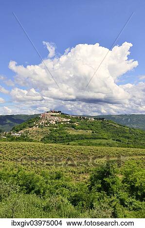 "View across vineyards to the town with atmospheric clouds, Motovun, Montona, Mirna Valley, Istria, Croatia, Europe" View Large Photo Image Picture - "View across vineyards to the town with atmospheric clouds, Motovun, Montona, Mirna Valley, Istria, Croatia, Europe". Fotosearch