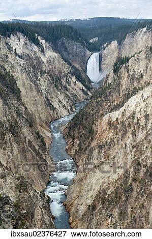 "View from Aritist Point towards Lower Falls waterfall and Yellowstone River, Grand Canyon of the Yellowstone, Yellowstone National Park, Wyoming, USA, United States of America, North America" View Large Photo Image Stock Photo - "View from Aritist Point towards Lower Falls waterfall and Yellowstone River, Grand Canyon of the Yellowstone, Yellowstone National Park, Wyoming, USA, United States of America, North America". Fotosearch