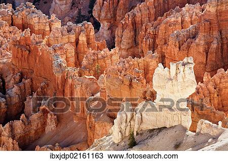 "View from Bryce Point showing layers of sandstone hoodoos, Bryce Canyon National Park, Utah, USA" View Large Photo Image Stock Image - "View from Bryce Point showing layers of sandstone hoodoos, Bryce Canyon National Park, Utah, USA". Fotosearch