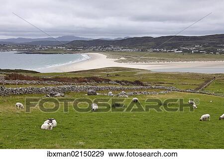 "View from Horn Head over Dunfanaghy, County Donegal, Ireland, Europe" View Large Photo Image Stock Photo - "View from Horn Head over Dunfanaghy, County Donegal, Ireland, Europe". Fotosearch