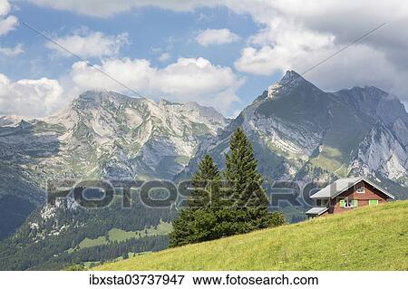 "View from Klangweg or Sound Trail on Toggenburg Mountain towards the Alpstein Mountains with Saentis Mountain, Wildhaus, Canton of St. Gallen, Switzerland, Europe" View Large Photo Image Stock Photo - "View from Klangweg or Sound Trail on Toggenburg Mountain towards the Alpstein Mountains with Saentis Mountain, Wildhaus, Canton of St. Gallen, Switzerland, Europe". Fotosearch