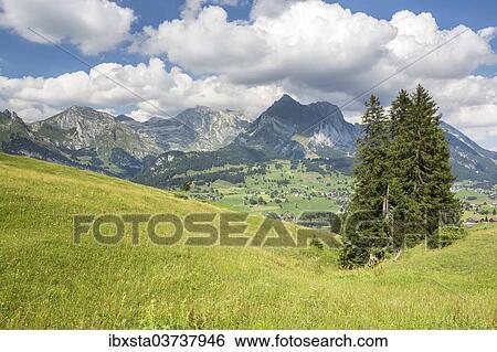 "View from Klangweg or Sound Trail on Toggenburg Mountain towards the Alpstein Mountains with Saentis Mountain, Wildhaus, Canton of St. Gallen, Switzerland, Europe" View Large Photo Image Stock Photograph - "View from Klangweg or Sound Trail on Toggenburg Mountain towards the Alpstein Mountains with Saentis Mountain, Wildhaus, Canton of St. Gallen, Switzerland, Europe". Fotosearch