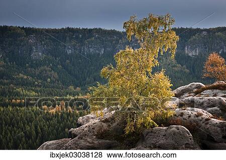 "View from Kuhstall lookout point, Elbe Sandstone Mountains, Saxony, Germany, Europe" View Large Photo Image Stock Photo - "View from Kuhstall lookout point, Elbe Sandstone Mountains, Saxony, Germany, Europe". Fotosearch