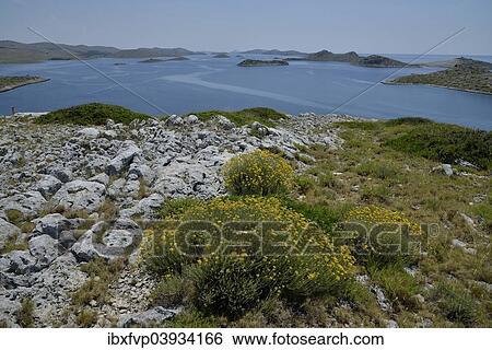 "View from Levrnaka island over the Kornati Islands, Adriatic Sea, Kornati Islands National Park, Croatia, Europe" View Large Photo Image Stock Photograph - "View from Levrnaka island over the Kornati Islands, Adriatic Sea, Kornati Islands National Park, Croatia, Europe". Fotosearch