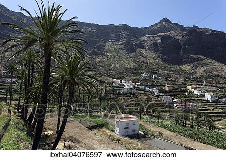 "View from Lomo del Balo on the terraced fields and Hornillo Valle Gran Rey, La Gomera, Canary Islands, Spain, Europe" View Large Photo Image Stock Photo - "View from Lomo del Balo on the terraced fields and Hornillo Valle Gran Rey, La Gomera, Canary Islands, Spain, Europe". Fotosearch