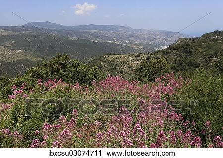 "View from Monte Sant'Angelo, Monte Sant' Angelo, Foggia, Apulia, Italy, Europe" View Large Photo Image Stock Image - "View from Monte Sant'Angelo, Monte Sant' Angelo, Foggia, Apulia, Italy, Europe". Fotosearch