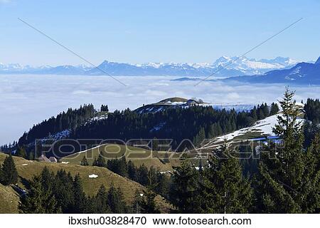 "View from Mt Napf across a sea of ​​fog in the Swiss Alps or Central Alps with Mt Rigi, Canton of Bern, Switzerland, Europe" View Large Photo Image Stock Image - "View from Mt Napf across a sea of ​​fog in the Swiss Alps or Central Alps with Mt Rigi, Canton of Bern, Switzerland, Europe". Fotosearch