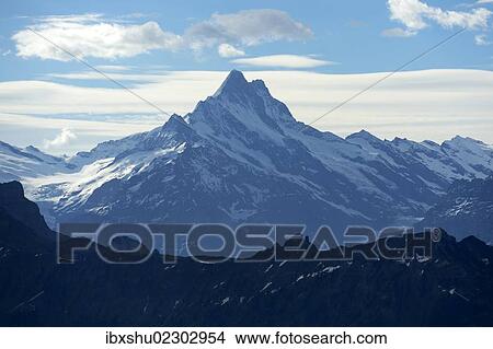 "View from Mt Niederhorn to Mt Schreckhorn, Beatenberg municipality, Bernese Oberland, Switzerland, Europe" View Large Photo Image Picture - "View from Mt Niederhorn to Mt Schreckhorn, Beatenberg municipality, Bernese Oberland, Switzerland, Europe". Fotosearch