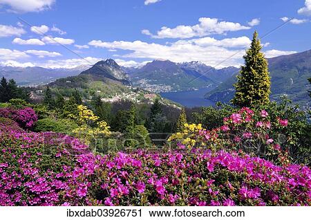 "View from Parco San Grato to the village of Carona, San Salvatore, Lago di Lugano, Lugano, Canton Ticino, Switzerland, Europe" View Large Photo Image Stock Image - "View from Parco San Grato to the village of Carona, San Salvatore, Lago di Lugano, Lugano, Canton Ticino, Switzerland, Europe". Fotosearch