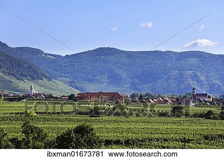 "View from Sankt Michael village looking towards Woesendorf and Weissenkirchen, Wachau valley, Waldviertel region, Lower Austria, Austria, Europe" View Large Photo Image Stock Image - "View from Sankt Michael village looking towards Woesendorf and Weissenkirchen, Wachau valley, Waldviertel region, Lower Austria, Austria, Europe". Fotosearch