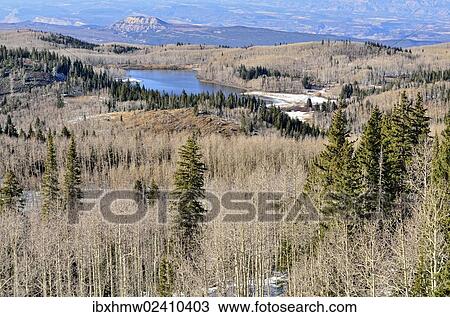 "View from Skyway Point towards Mesa Lake, Grand Mesa National Forest, Colorado, USA" View Large Photo Image Stock Image - "View from Skyway Point towards Mesa Lake, Grand Mesa National Forest, Colorado, USA". Fotosearch