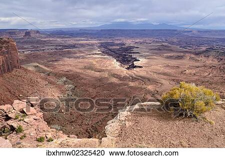 "View from the Buck Canyon Overlook with approaching thunderstorm clouds, Canyonlands National Park, Moab, Utah, USA" View Large Photo Image Stock Image - "View from the Buck Canyon Overlook with approaching thunderstorm clouds, Canyonlands National Park, Moab, Utah, USA". Fotosearch