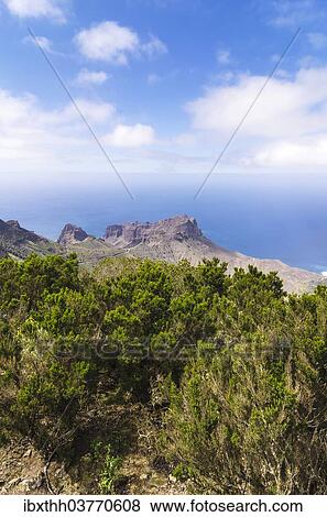 "View from the lookout Mirador de Alojera in the Garajonay National Park, La Gomera, Canary Islands, Spain, Europe" View Large Photo Image Stock Photo - "View from the lookout Mirador de Alojera in the Garajonay National Park, La Gomera, Canary Islands, Spain, Europe". Fotosearch