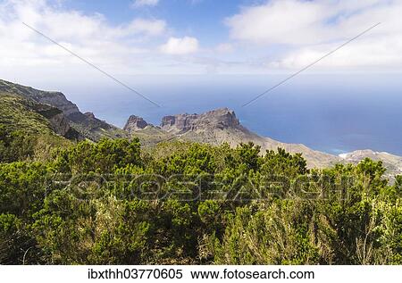 "View from the lookout Mirador de Alojera in the Garajonay National Park, La Gomera, Canary Islands, Spain, Europe" View Large Photo Image Stock Photography - "View from the lookout Mirador de Alojera in the Garajonay National Park, La Gomera, Canary Islands, Spain, Europe". Fotosearch