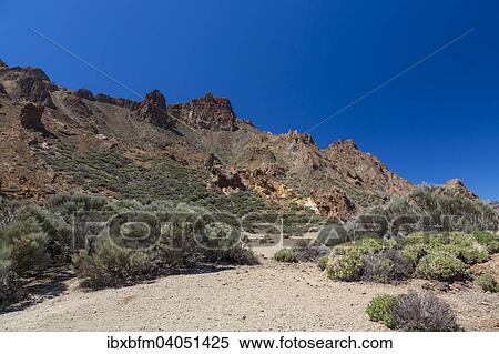 "View from the Mirador Azulejos II viewpoint of the volcanic landscape of Las Canadas, Llano de Ucana, Teide National Park, UNESCO World Heritage Site, Tenerife, Canary Islands, Spain, Europe" View Large Photo Image Stock Photography - "View from the Mirador Azulejos II viewpoint of the volcanic landscape of Las Canadas, Llano de Ucana, Teide National Park, UNESCO World Heritage Site, Tenerife, Canary Islands, Spain, Europe". Fotosearch