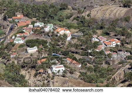 "View from the Mirador of houses and the palm grove of Taguluche, Arure, La Gomera, Canary Islands, Spain, Europe" View Large Photo Image Stock Image - "View from the Mirador of houses and the palm grove of Taguluche, Arure, La Gomera, Canary Islands, Spain, Europe". Fotosearch