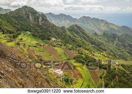 "View from the Mirador Pico del Ingles, Las Montanas de Anaga, Macizo de Anaga, Anaga massif, Tenerife, Canary Islands, Spain, Europe" View Large Photo Image Stock Image - "View from the Mirador Pico del Ingles, Las Montanas de Anaga, Macizo de Anaga, Anaga massif, Tenerife, Canary Islands, Spain, Europe". Fotosearch