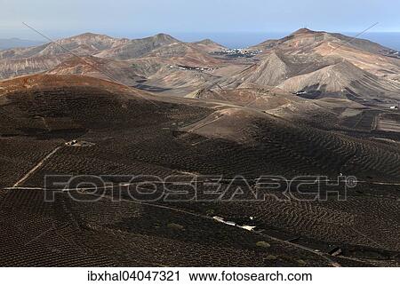 "View from the Montana de Guardilama range south on the wine growing region of La Geria, village of Femes, centre at the back, Atalaya de Femes volcano, right and Los Ajaches volcano, left, Lanzarote, Canary Islands, Spain, Europe" View Large Photo Image Stock Image - "View from the Montana de Guardilama range south on the wine growing region of La Geria, village of Femes, centre at the back, Atalaya de Femes volcano, right and Los Ajaches volcano, left, Lanzarote, Canary Islands, Spain, Europe". Fotosearch