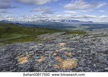 "View from the Prinskullen mountain, rocks and lichen at the front, Kvikkjokk, Norrbotten County, Sweden, Europe" View Large Photo Image Stock Image - "View from the Prinskullen mountain, rocks and lichen at the front, Kvikkjokk, Norrbotten County, Sweden, Europe". Fotosearch