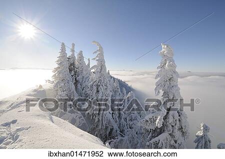 "View from the summit of Mt. Unterberg to the west, Lower Austria, Austria, Europe" View Large Photo Image Stock Image - "View from the summit of Mt. Unterberg to the west, Lower Austria, Austria, Europe". Fotosearch