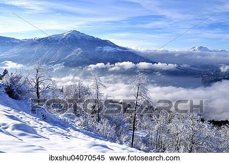 "View from Zugerberg on the Rigi and Pilatus, with snow-covered trees in the foreground, Canton of Zug, Switzerland, Europe" View Large Photo Image Stock Photography - "View from Zugerberg on the Rigi and Pilatus, with snow-covered trees in the foreground, Canton of Zug, Switzerland, Europe". Fotosearch