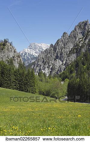 "View of Gesaeuse National Park as seen from Johnsbach, Ennstal Alps, Upper Styria, Styria, Austria, Europe" View Large Photo Image Stock Photo - "View of Gesaeuse National Park as seen from Johnsbach, Ennstal Alps, Upper Styria, Styria, Austria, Europe". Fotosearch