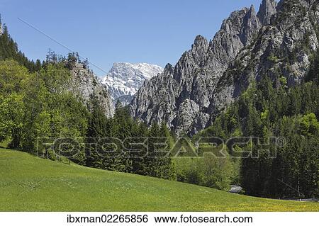 Stock Photograph - "View of Gesaeuse National Park as seen from Johnsbach, Ennstal Alps, Upper Styria, Styria, Austria, Europe". Fotosearch
