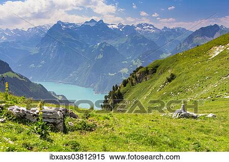 Stock Photography - "View of Lake Lucerne seen from Fronalpstock mountain, Stoos, Morschach, canton of Schwyz, Switzerland, Europe". Fotosearch