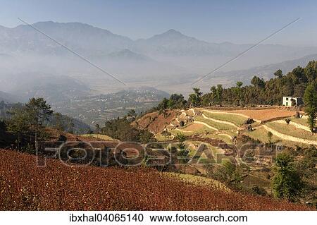 "View of terrace fields and the countryside near Panauti, Nepal, Asia" View Large Photo Image Stock Image - "View of terrace fields and the countryside near Panauti, Nepal, Asia". Fotosearch