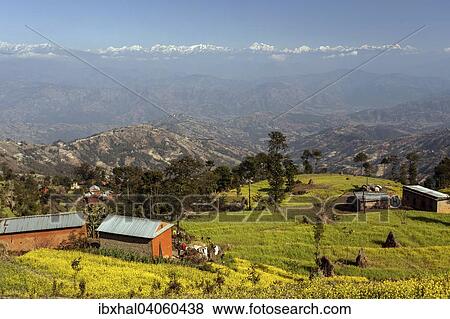"View of terraced fields and the mountains of the Himalayas, at Nagarkot, Nepal, Asia" View Large Photo Image Stock Photo - "View of terraced fields and the mountains of the Himalayas, at Nagarkot, Nepal, Asia". Fotosearch