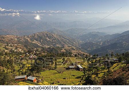 Stock Photograph - "View of terraced fields and the mountains of the Himalayas, at Nagarkot, Nepal, Asia". Fotosearch
